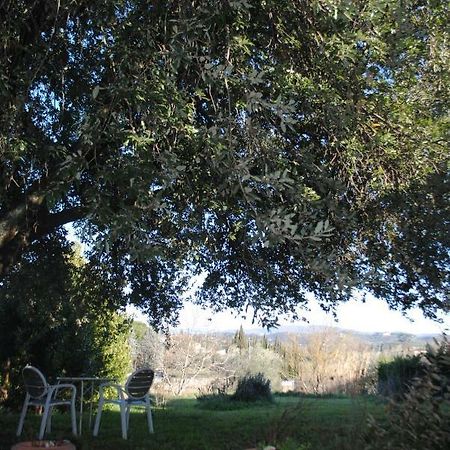 Agriturismo Fattoria Di Malavolta Firenze Kültér fotó